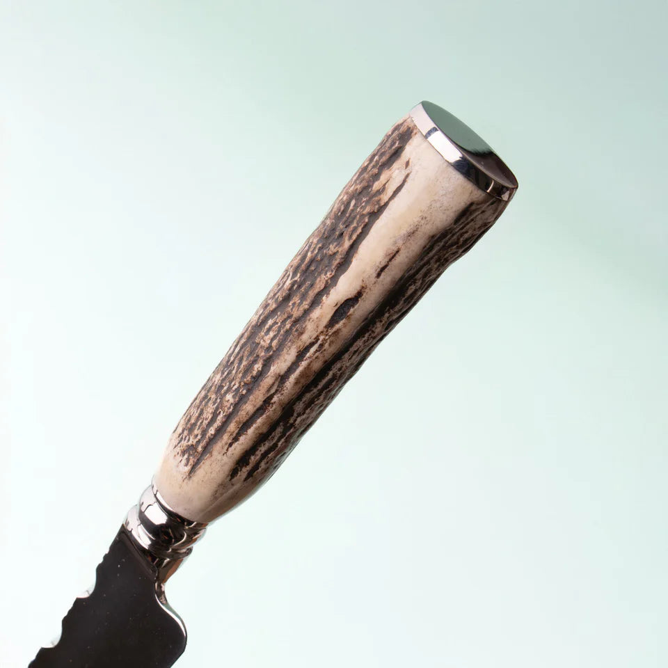Forged 8" Stag Handle Knife